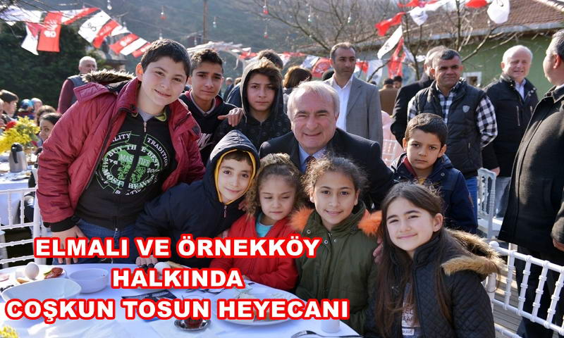 ELMALI VE ÖRNEKKÖY HALKINDA COŞKUN TOSUN HEYECANI