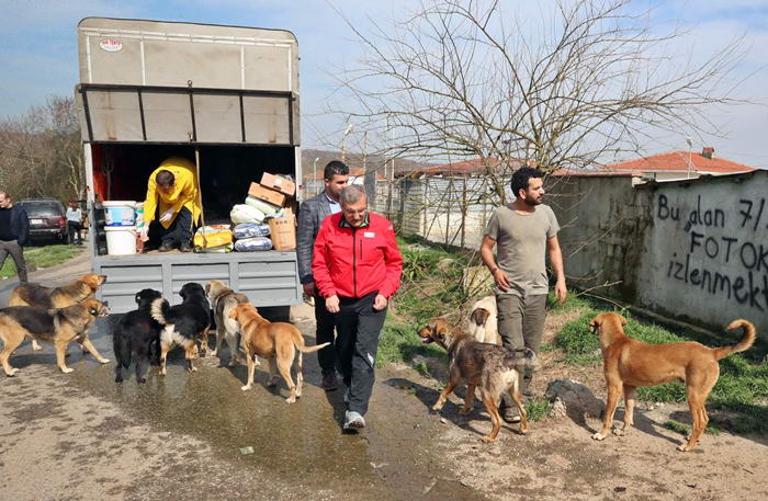 Murat Aydin Dan Mahmusevketpasa Koyune Hayvan Barinagi Mujdesi